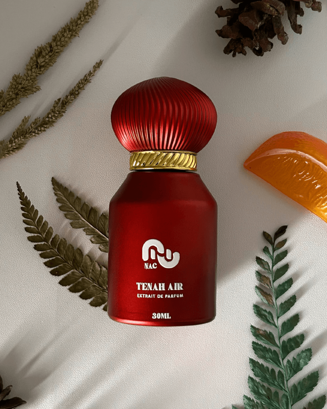 TENAH AIR